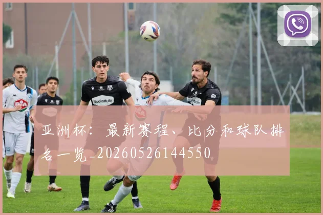 亚洲杯:最新赛程、比分和球队排名一览_20260526144550