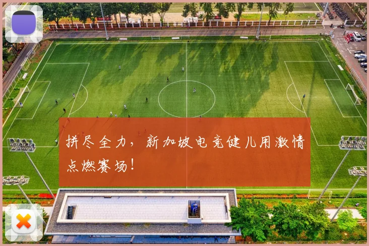 拼尽全力,新加坡电竞健儿用激情点燃赛场!
